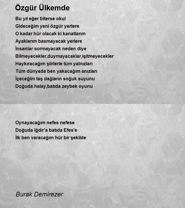 Burak Demirezer