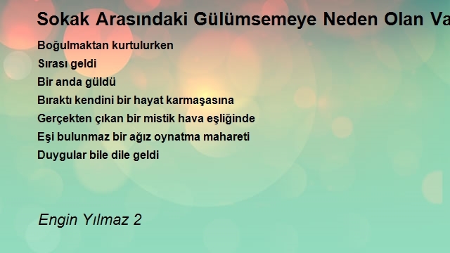 Engin Yılmaz 2