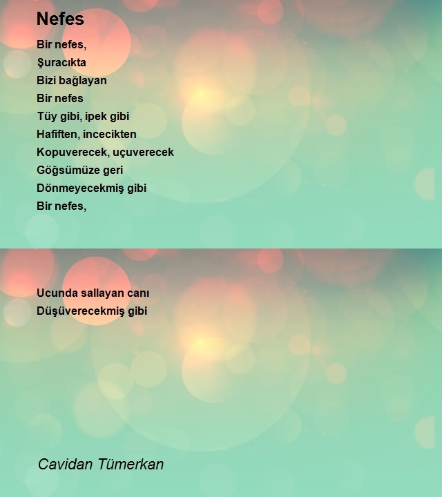 Cavidan Tümerkan