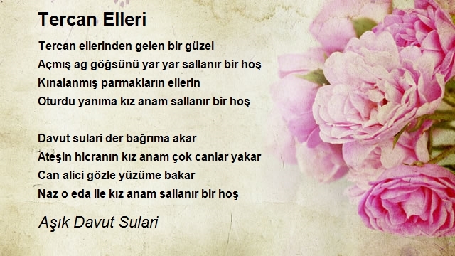 Aşık Davut Sulari