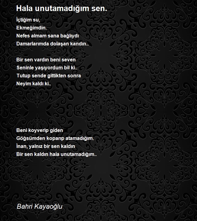 Bahri Kayaoğlu