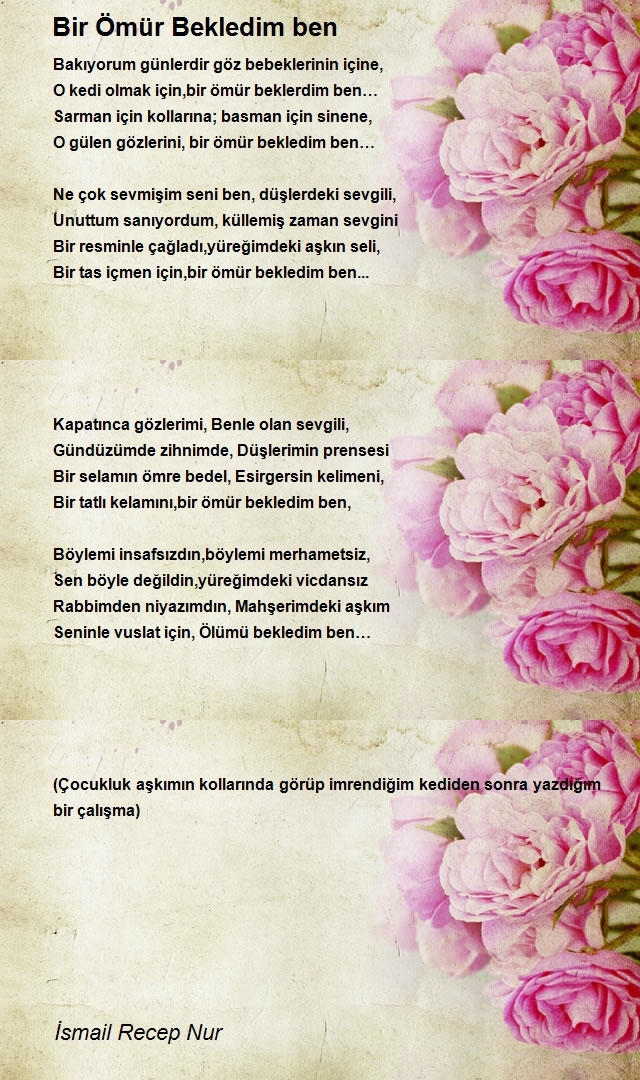 İsmail Recep Nur