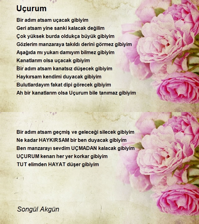 Songül Akgün