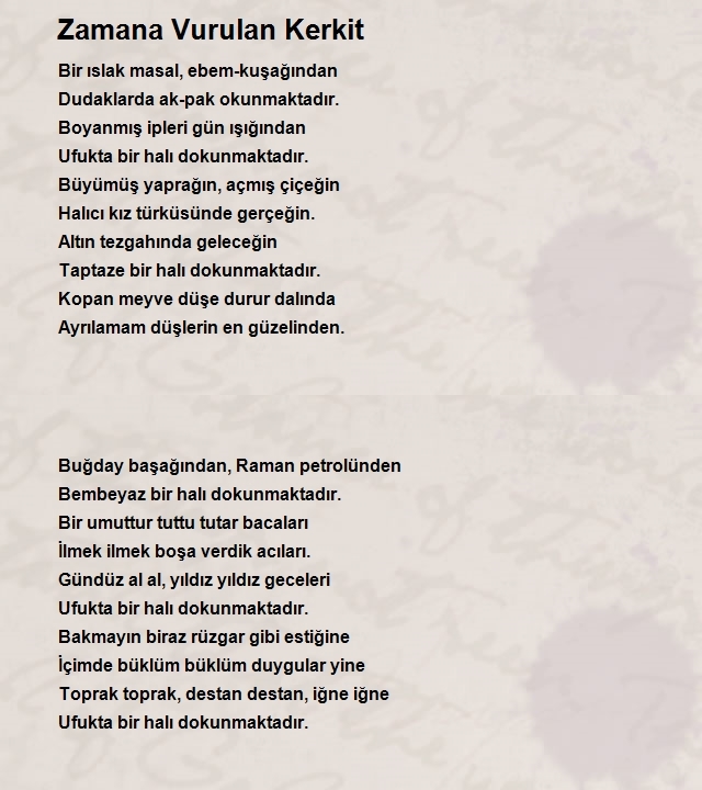 Feyzi Halıcı