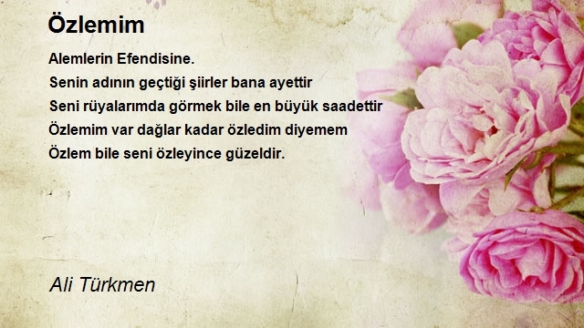 Ali Türkmen