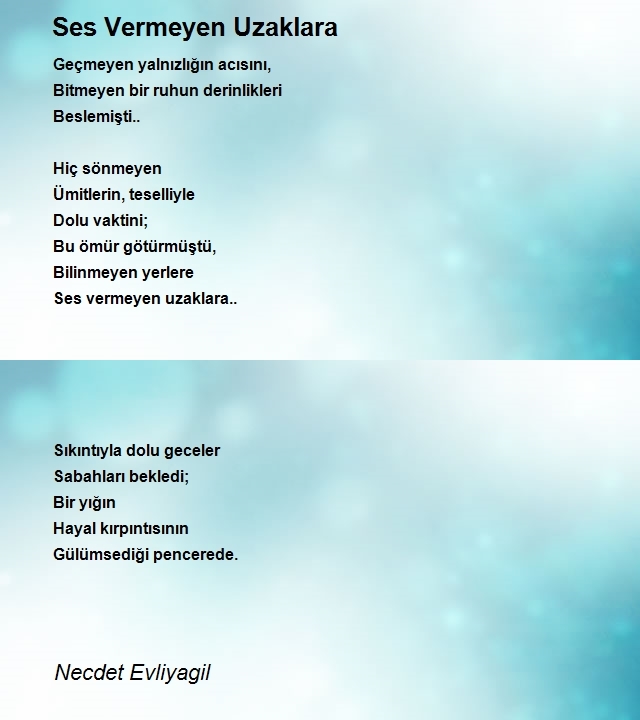 Necdet Evliyagil