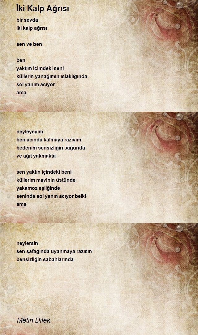 Metin Dilek