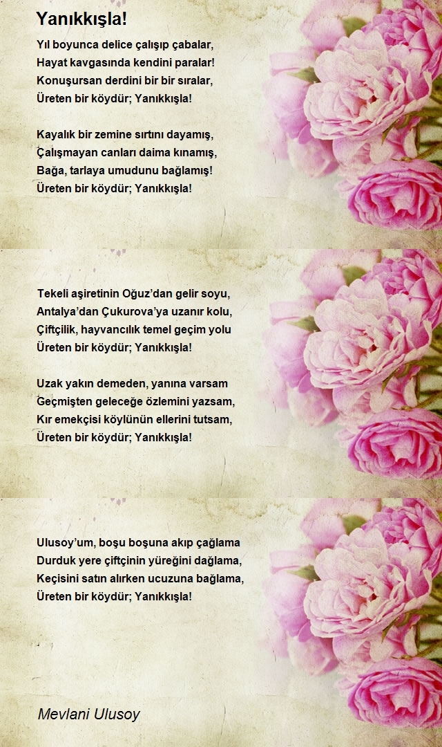 Mevlani Ulusoy