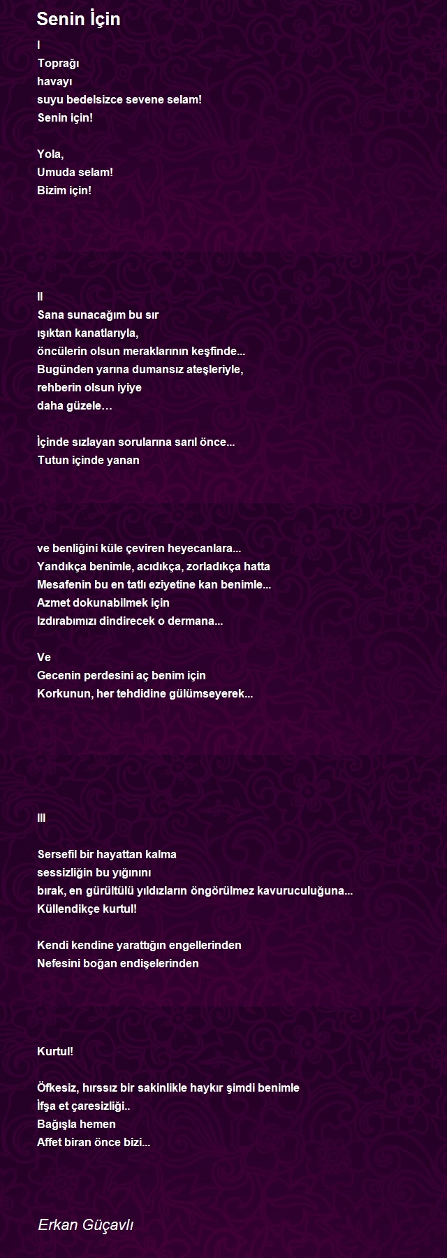 Erkan Güçavlı