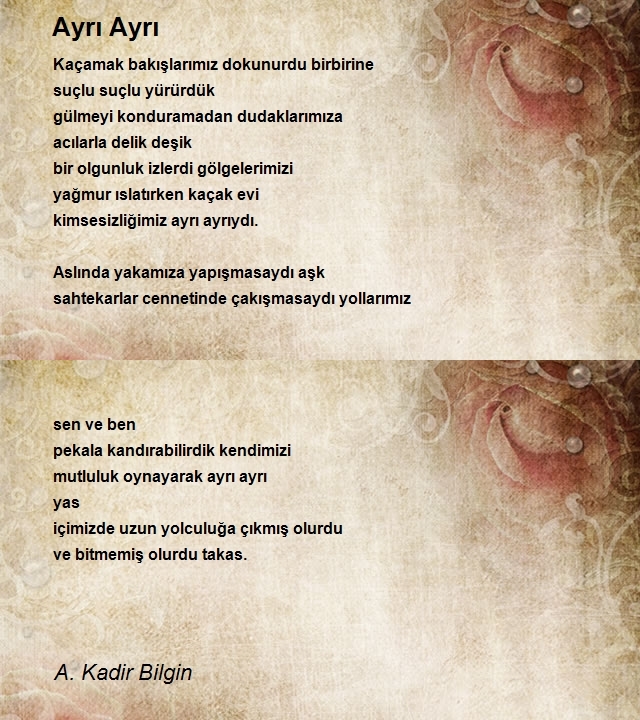 A. Kadir Bilgin