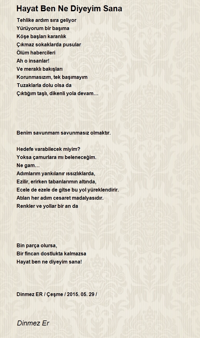 Dinmez Er