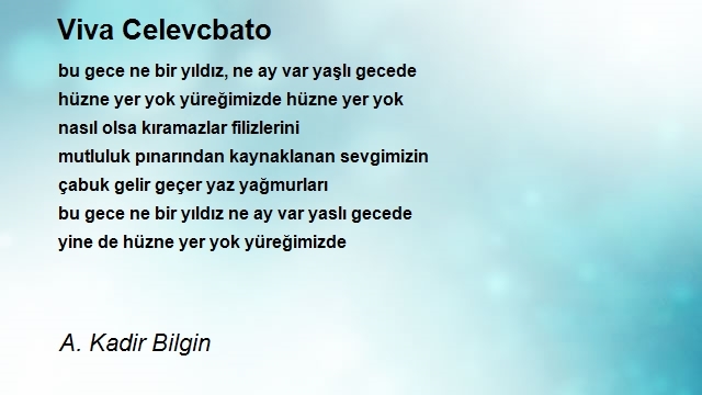 A. Kadir Bilgin