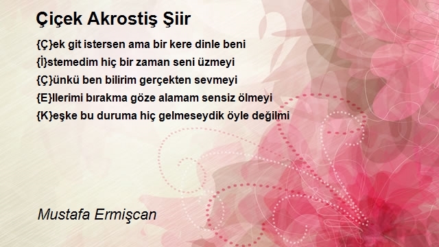 Mustafa Ermişcan