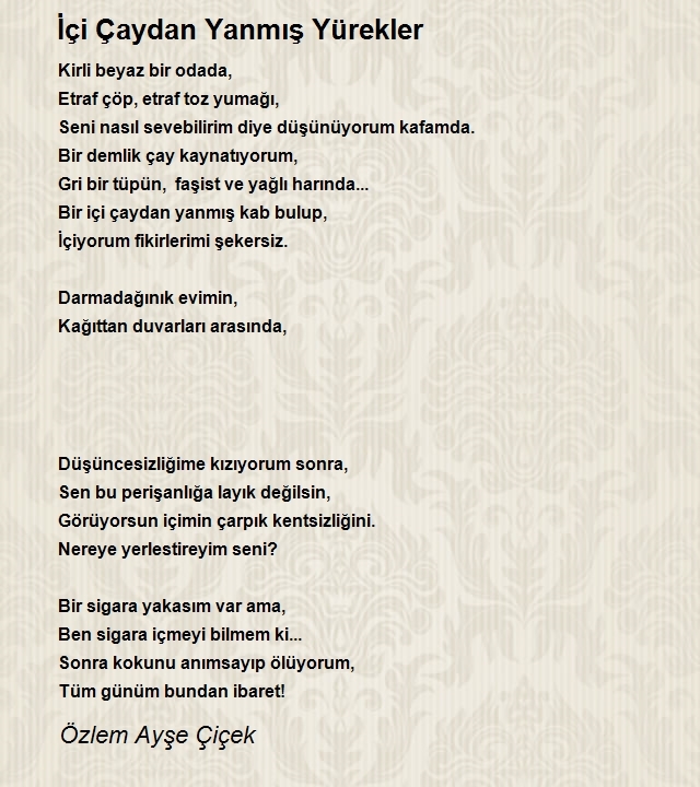 Özlem Ayşe Çiçek