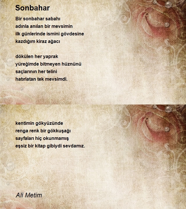 Ali Metim