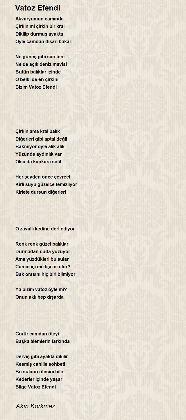 Akın Korkmaz