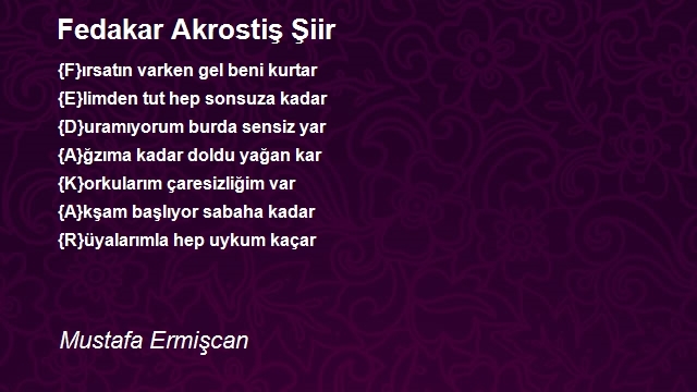 Mustafa Ermişcan