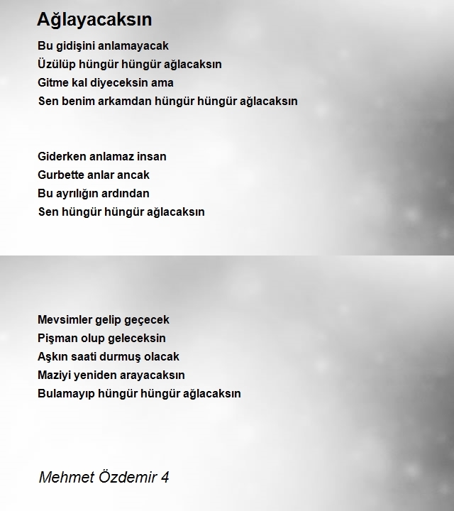 Mehmet Özdemir 4