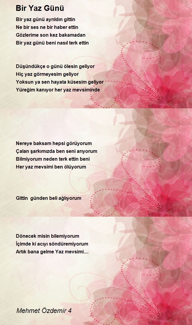 Mehmet Özdemir 4