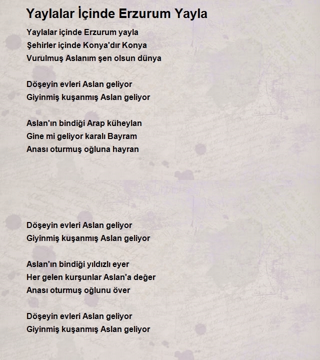 Hacı Taşan