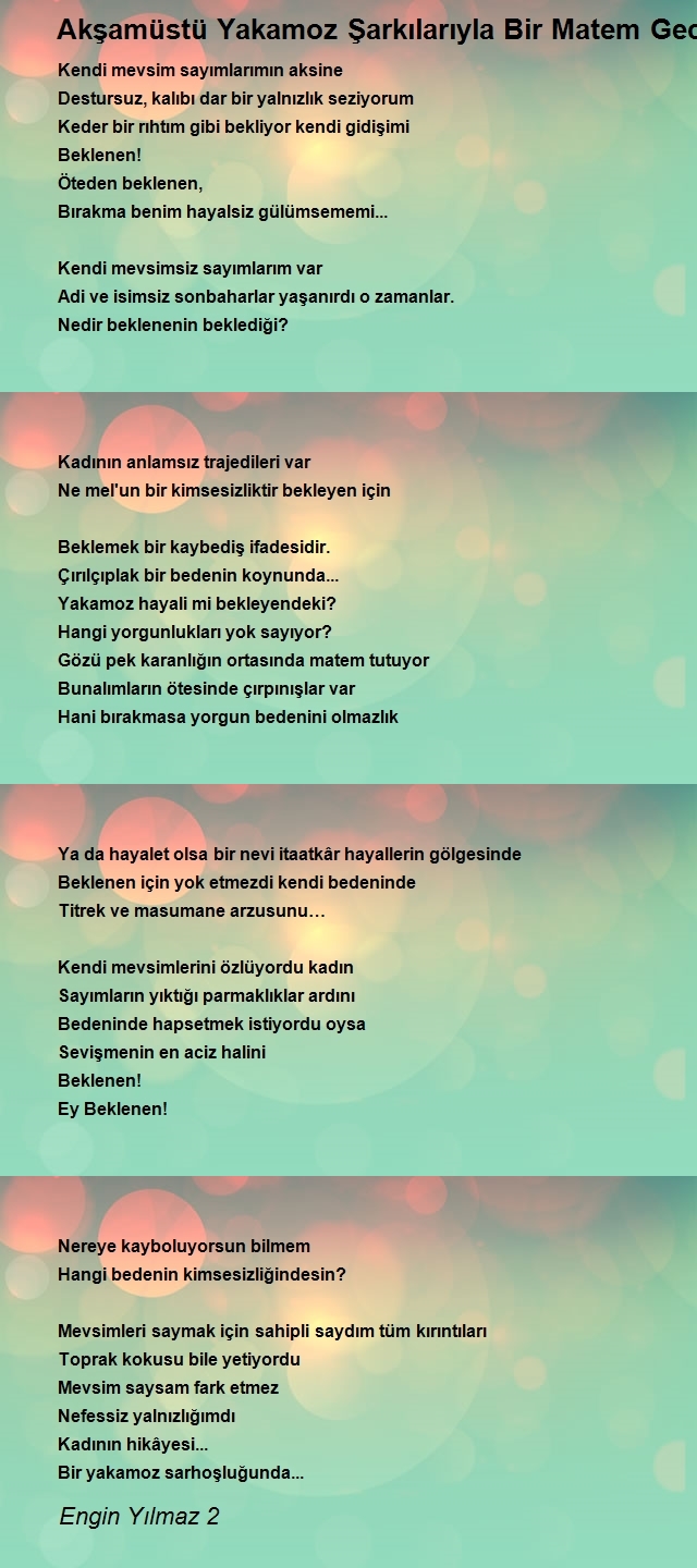 Engin Yılmaz 2