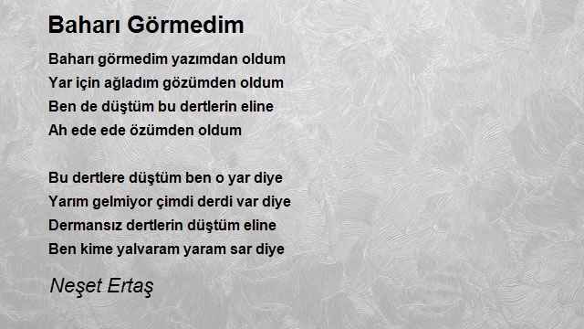 Neşet Ertaş