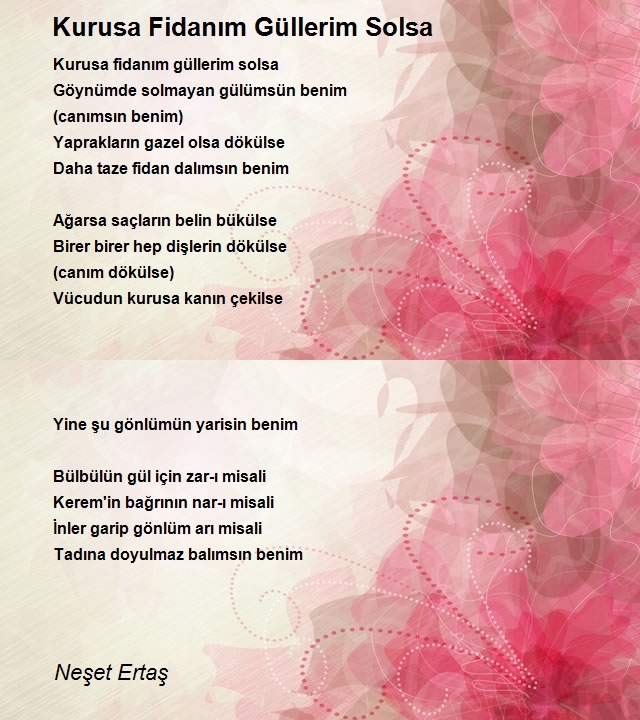 Neşet Ertaş