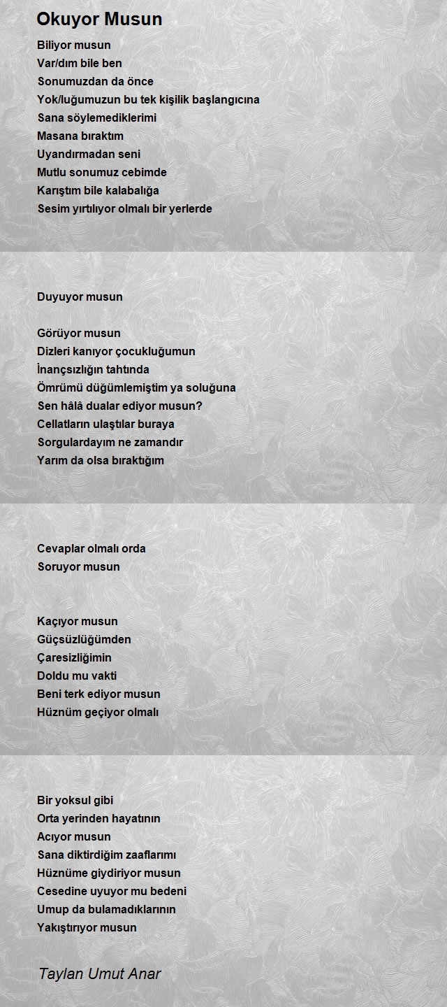 Taylan Umut Anar