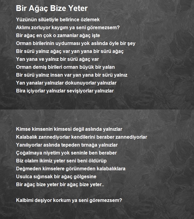 Ali Lidar