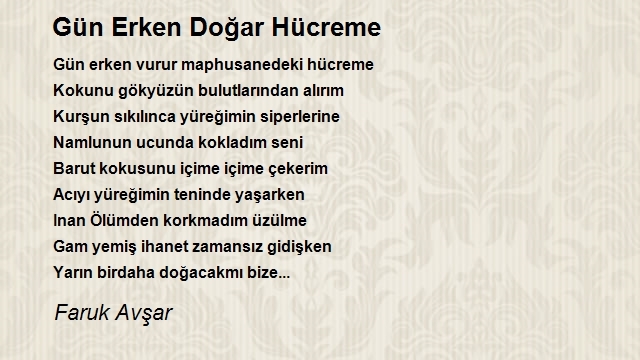 Faruk Avşar
