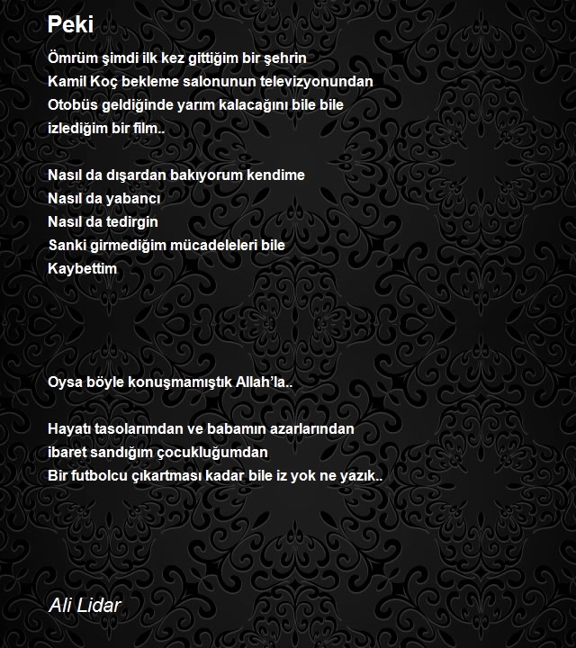 Ali Lidar