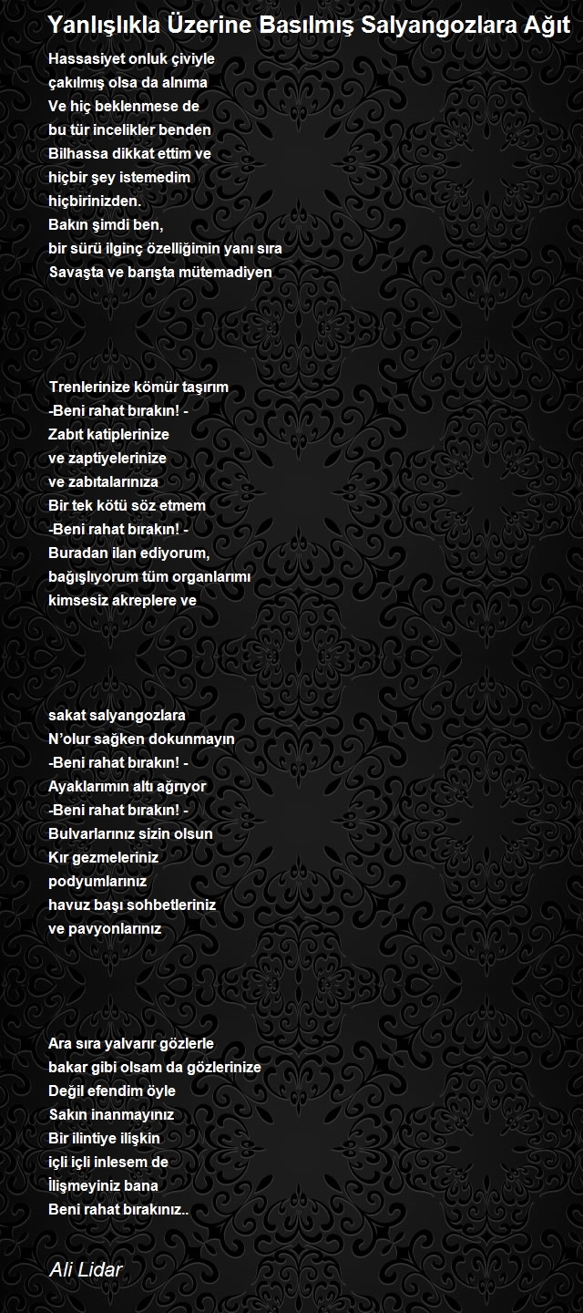 Ali Lidar