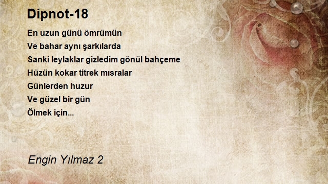 Engin Yılmaz 2