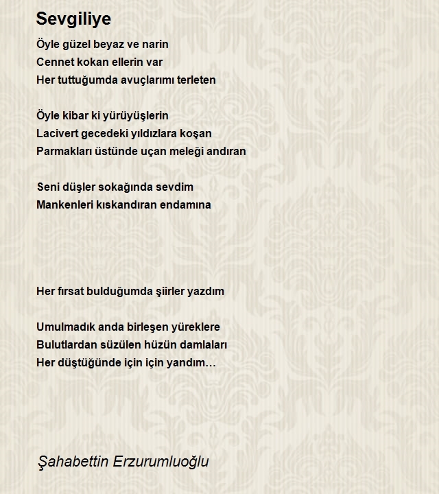 Şahabeddin Erzurumluoğlu