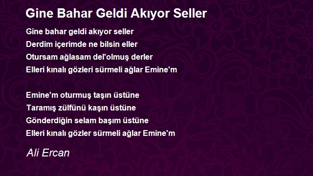 Ali Ercan