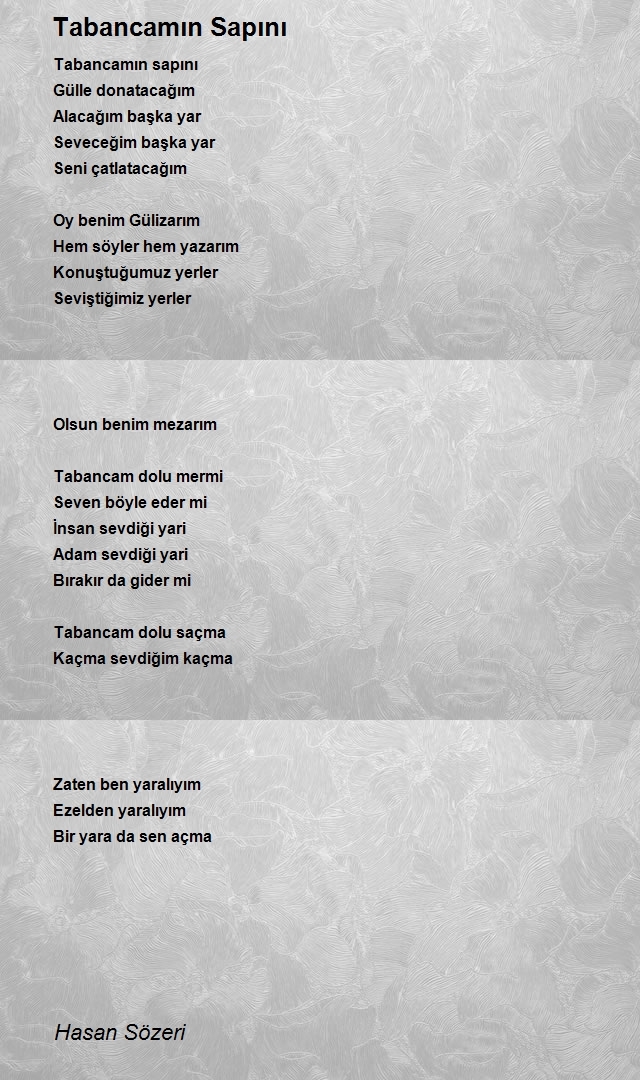 Hasan Sözeri