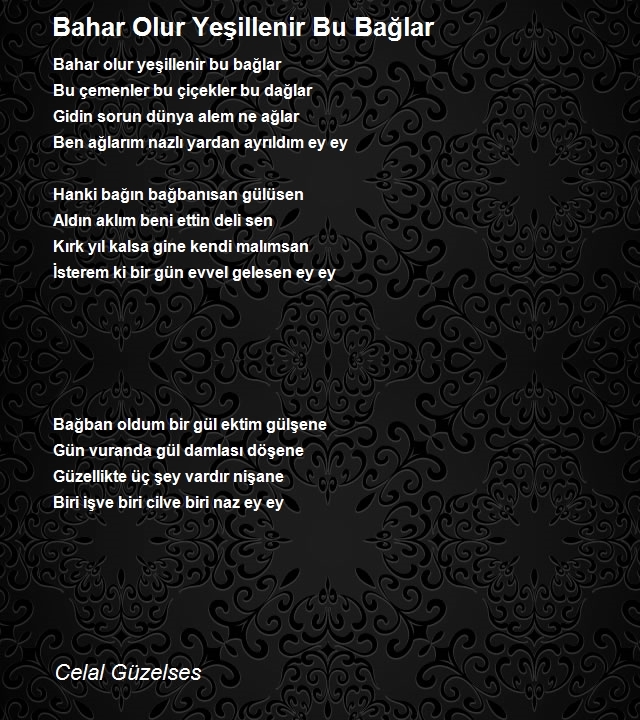 Celal Güzelses