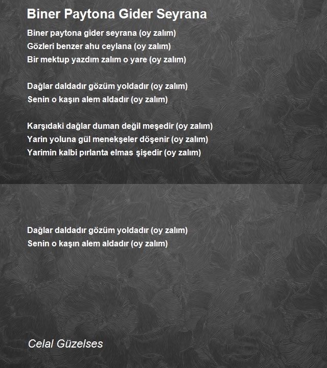 Celal Güzelses