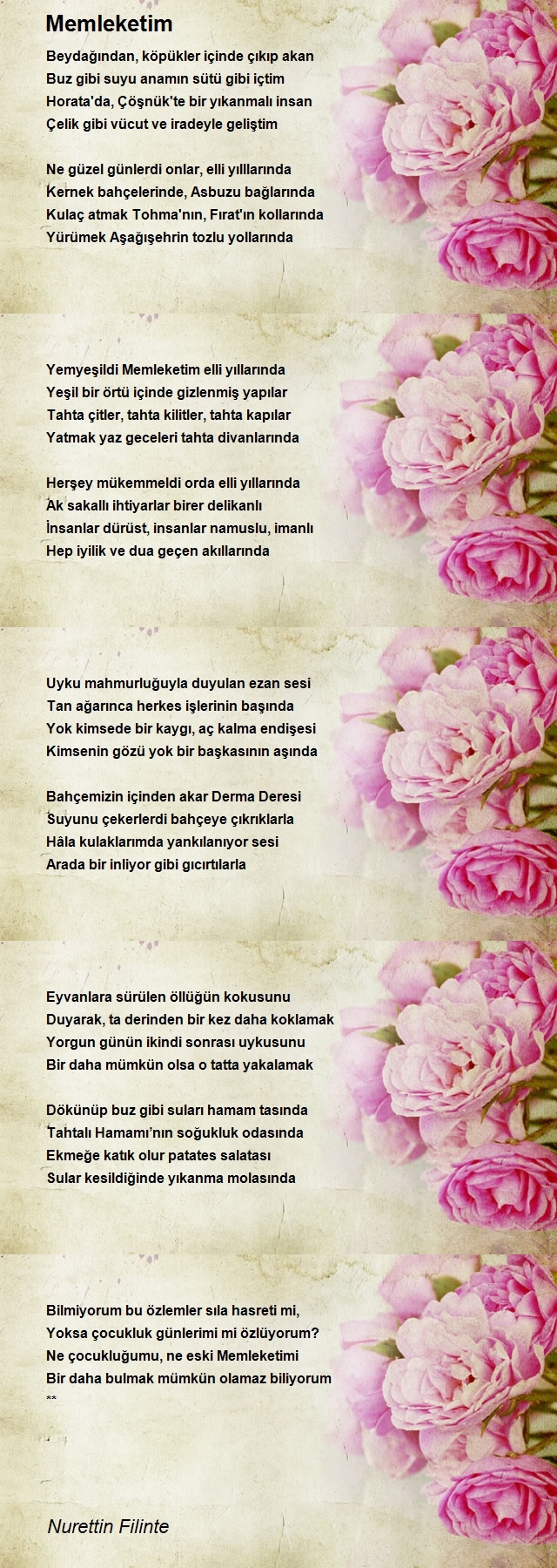 Nurettin Filinte