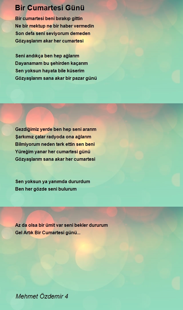 Mehmet Özdemir 4