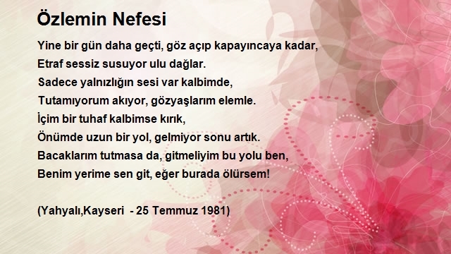 Fahrettin Hakan Ansen