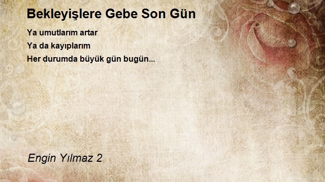 Engin Yılmaz 2