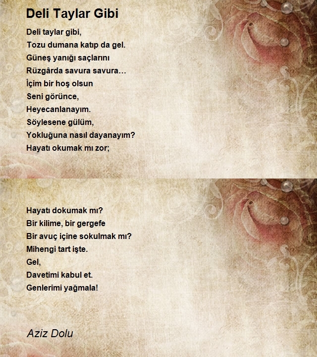 Aziz Dolu