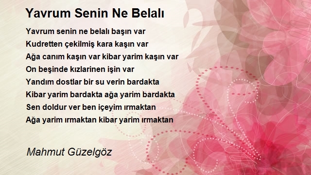 Mahmut Güzelgöz