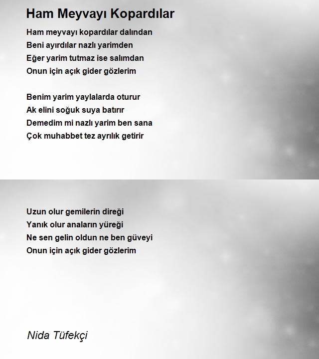 Nida Tüfekçi