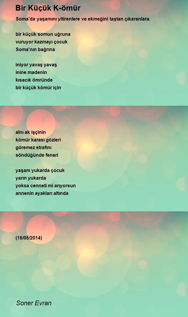 Soner Evran