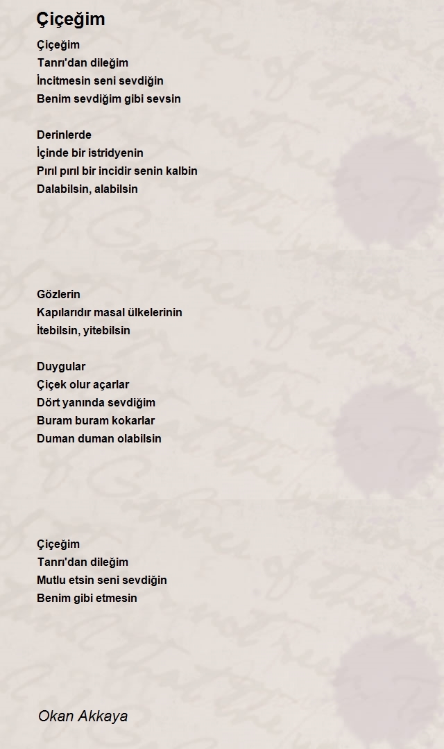 Okan Akkaya