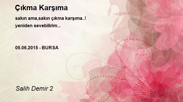 Salih Demir 2