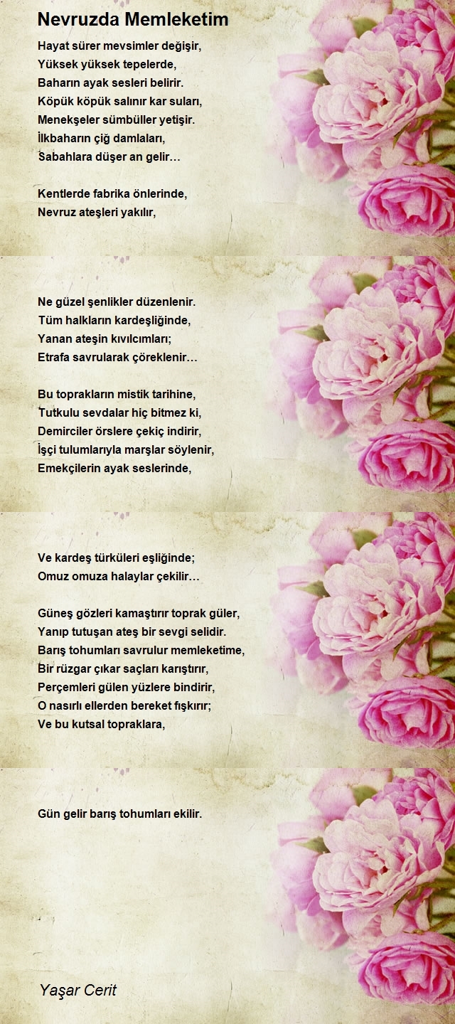 Yaşar Cerit