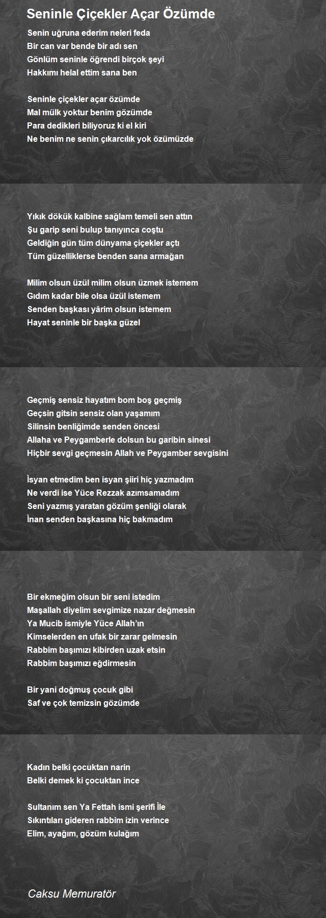 Caksu Memuratör